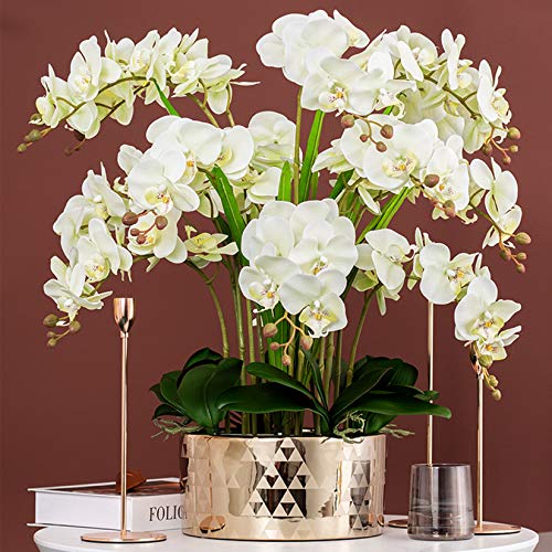 Phalaenopsis Flowers 6 Pcs Artificial Orchid Flowers