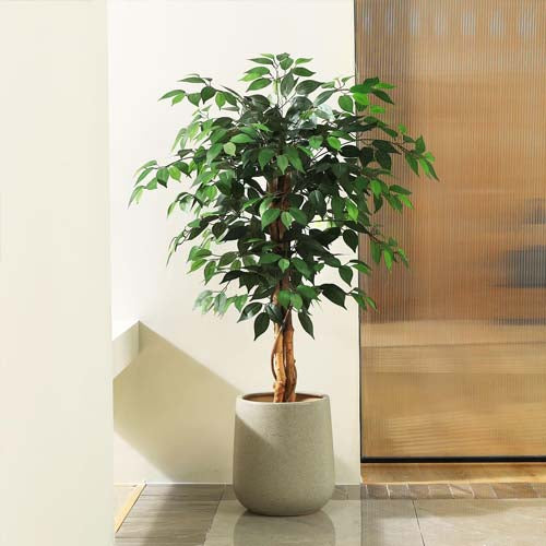 SOGUYI Artificial Ficus Tree with Natural Wood Trunk